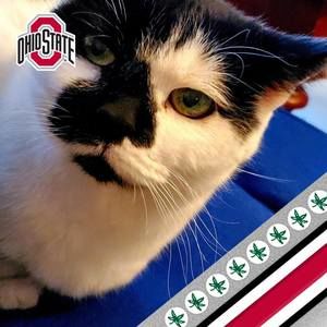 Meet your Posher, Zandra